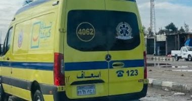 وجبة رنجة وراء تسمم 4 أشخاص من أسرة واحدة فى بولاق الدكرور