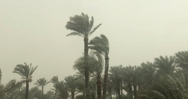 طقس غد.. حار إلى شديد الحرارة وشبورة ونشاط رياح والعظمى بالقاهرة 35 درجة