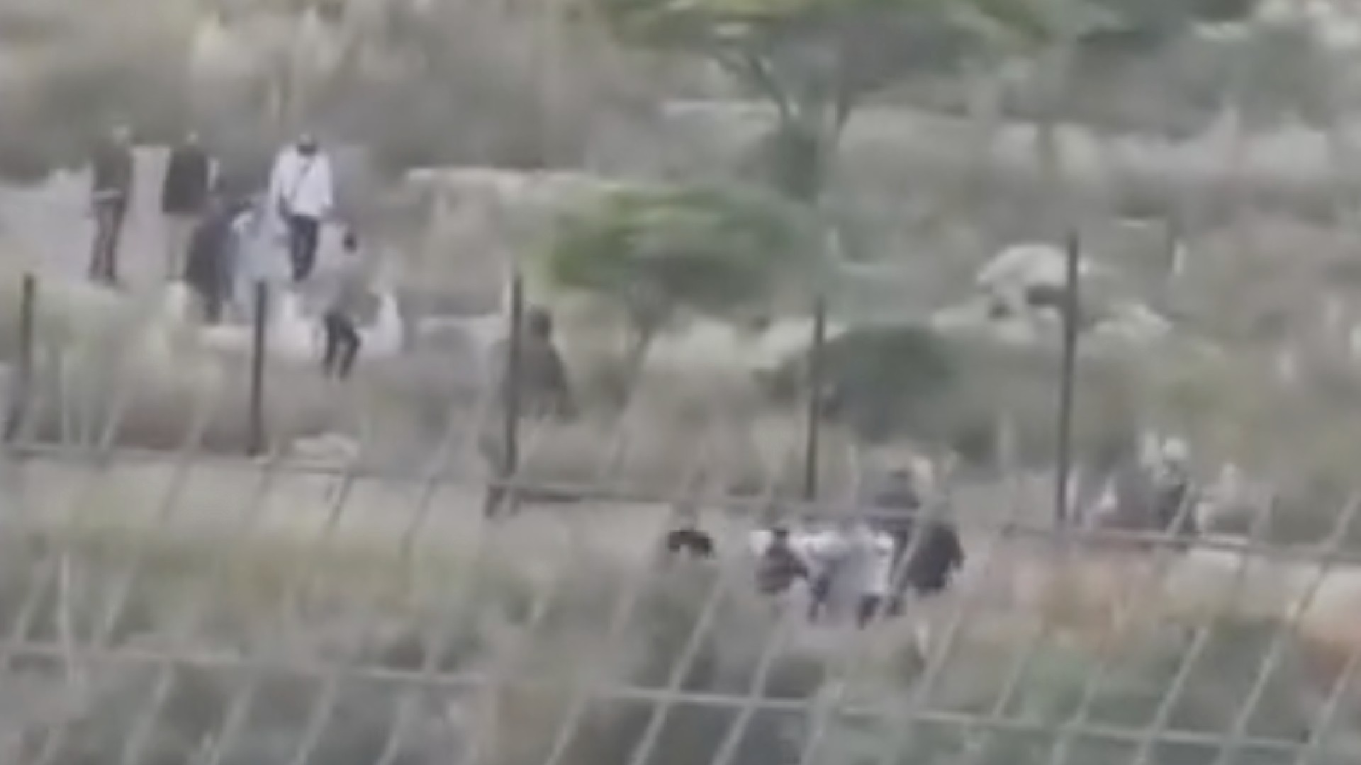 Israeli settlers force Palestinian family to exhume fathers body in West Bank