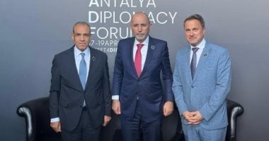 وزير الخارجية يؤكد ضرورة تضافر الجهود لخفض التصعيد بالمنطقة وتغليب لغة الحوار