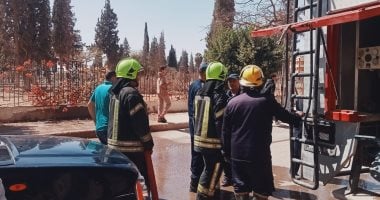 أول فيديو يرصد محاولة إمساك القرد لولو الهارب من حديقة خاصة بالمنوفية