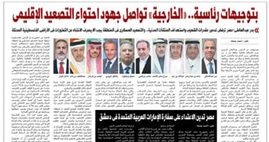 اليوم السابع: بتوجيهات رئاسية.. الخارجية تواصل جهود احتواء التصعيد الإقليمى