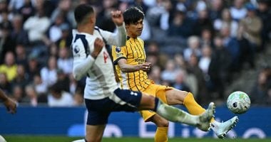 توتنهام ضد برايتون.. التعادل 1  1 يحسم الشوط الأول المثير بالبريميرليج