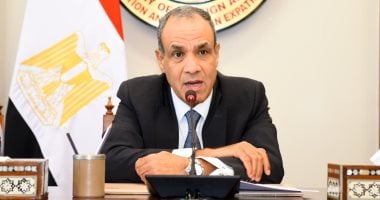 العالم يثمن الدور المصري في تهدئة أخطر أزمات المنطقة فيديو