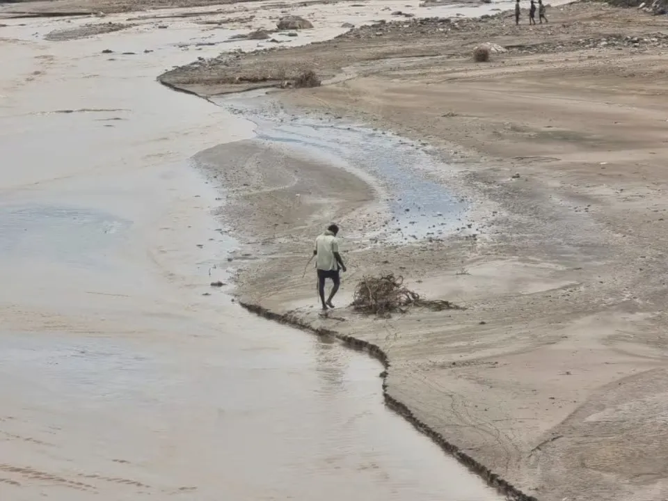 مبادرات أممية تدعم الزراعة اليمنية وتحد من الجفاف مبادرات أممية تدعم الزراعة اليمنية وتحد من الجفاف