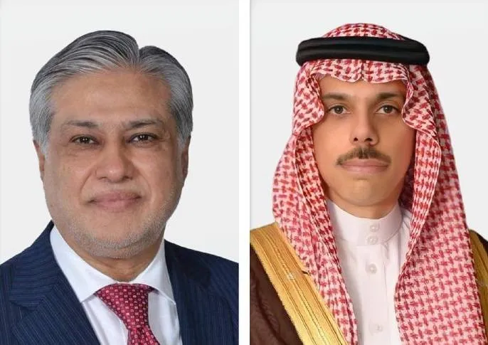 وزيرا خارجية السعودية وباكستان يبحثان المستجدات
