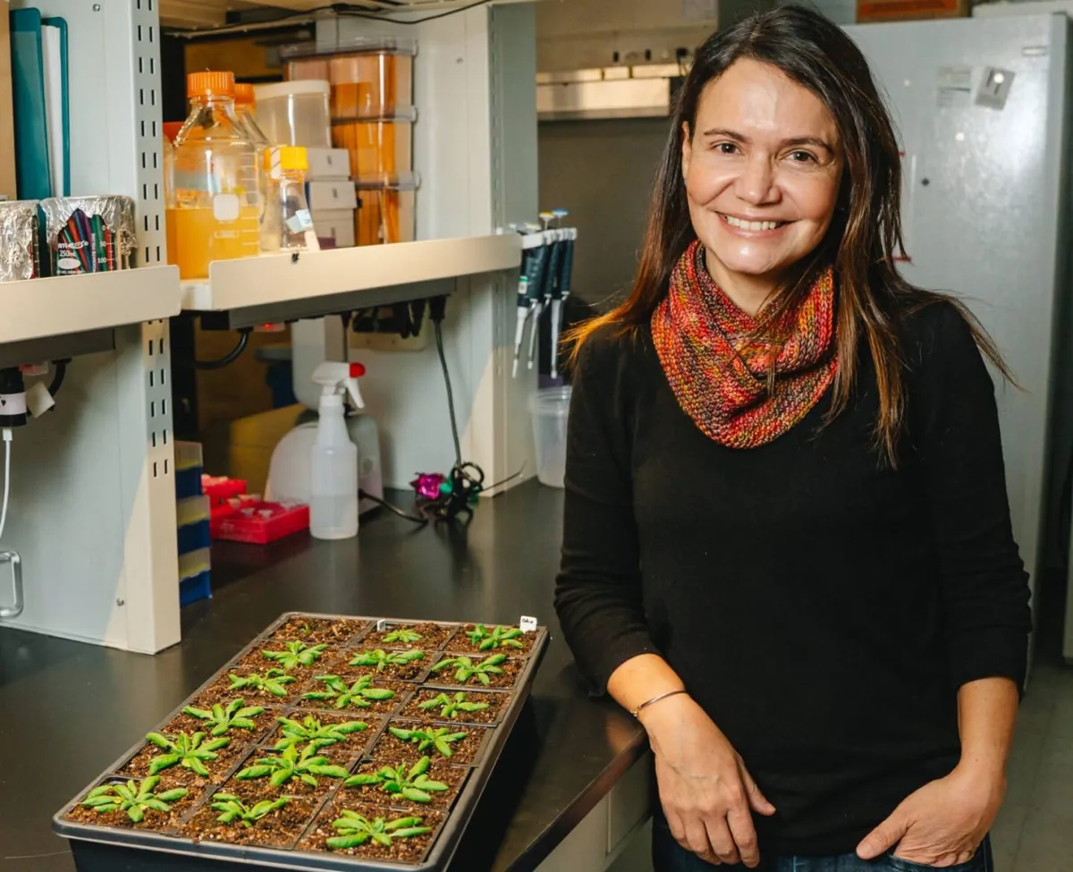 ابتكار علمي يعزز إنتاج المحاصيل الزراعية من دون مبيدات