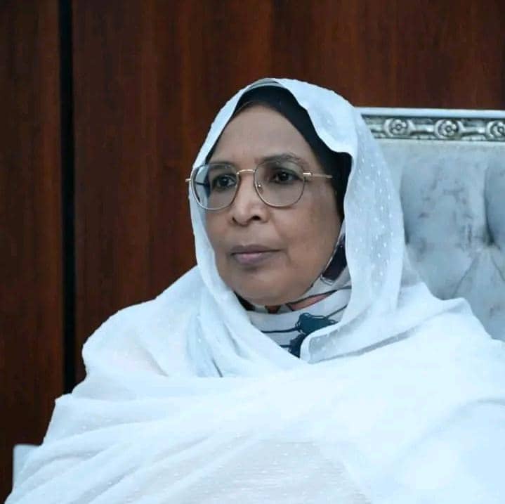 لمياء عبدالغفار تخترق السلك الدبلوماسي  