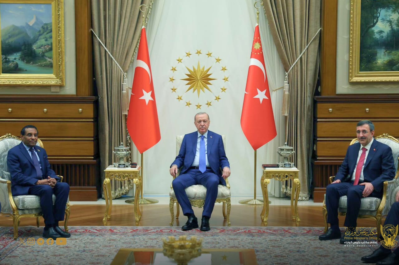 إدريس وأردوغان.. تفاصيل مهمة من انقرة  