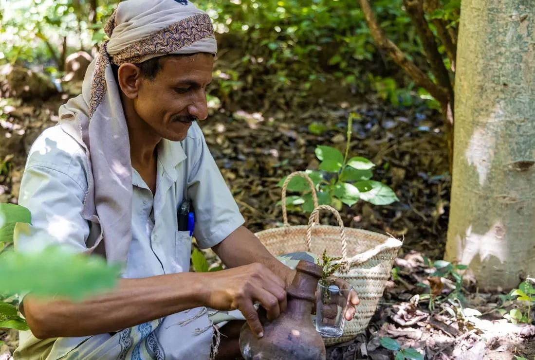 UN Project Supports Thousands of Coffee Farmers in Yemens Taiz