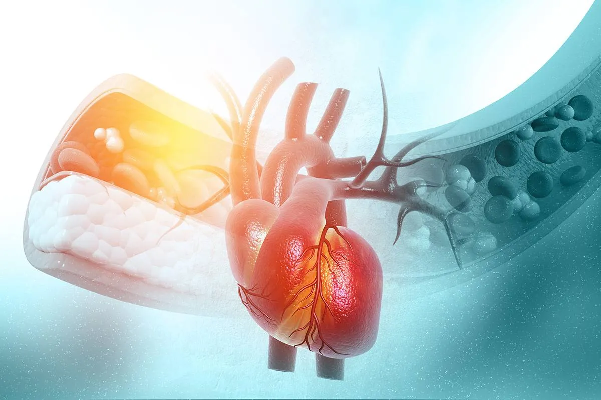 حر الصيف يثقل كاهل القلب مخاطر صامتة ونصائح وقائية