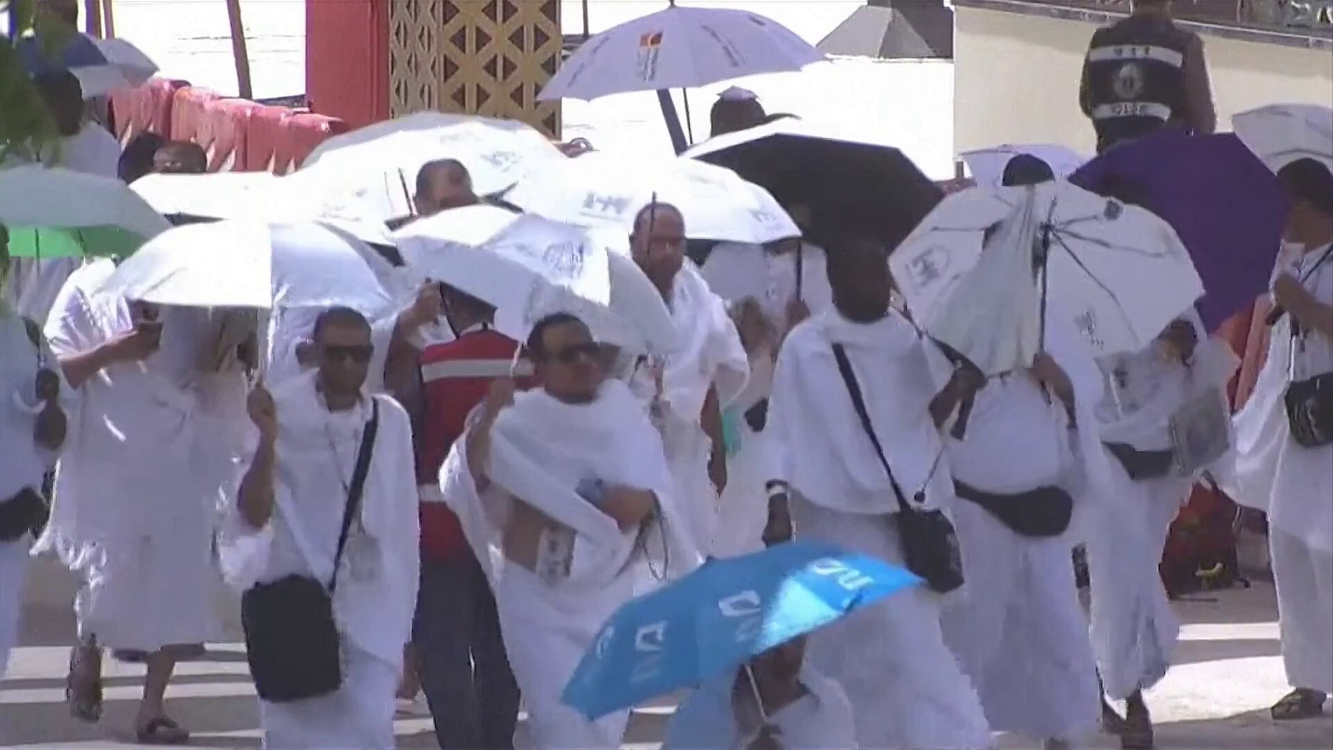 خطيب عرفة يدعو لإصلاح أحوال المسلمين والحجاج يؤدون الركن الأعظم خطيب عرفة يدعو لإصلاح أحوال المسلمين والحجاج يؤدون الركن الأعظم