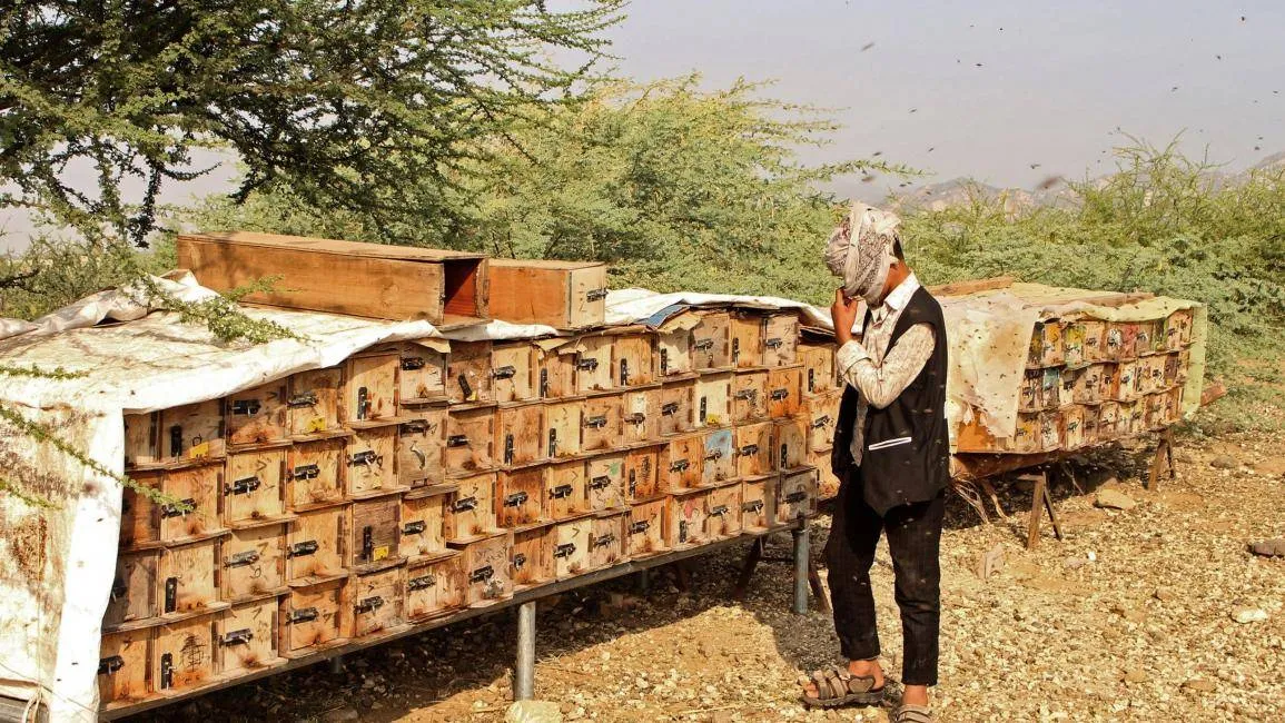 مبيدات قاتلة بأسماء جذابة تهدد الأمن الغذائي اليمني