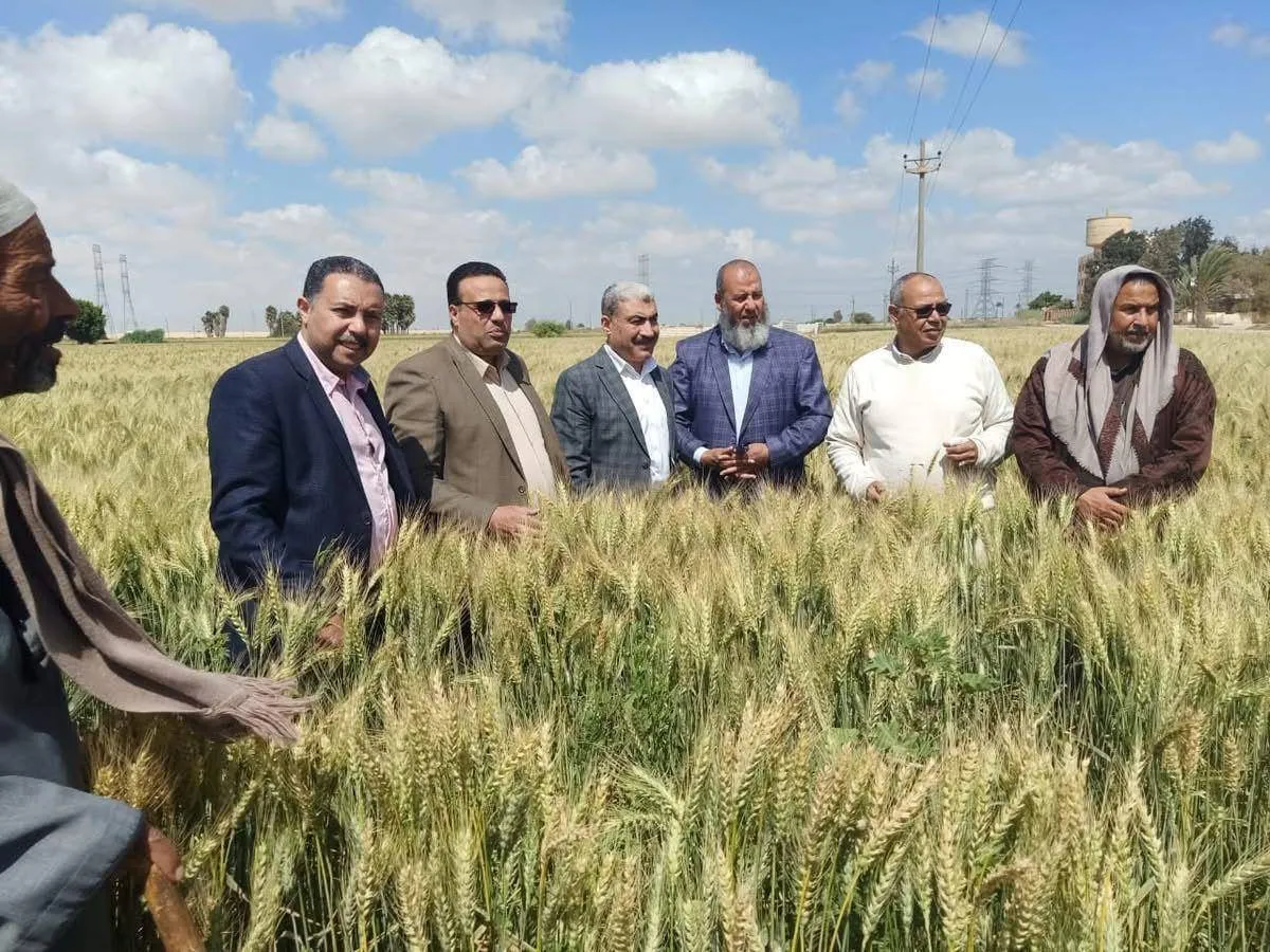 أسعار الغذاء المصري مرشحة لـقفزة مع ارتفاع تكلفة الزراعة