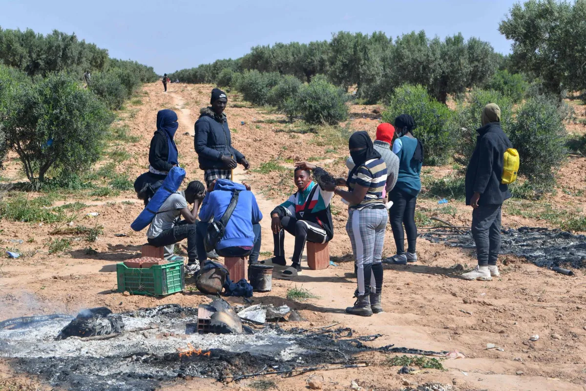 تصريحات نائب عن المهاجرات الأفريقيات تثير جدلا واسعا في تونس