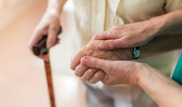 هل يبدأ باركنسون من الأمعاء... النظام الغذائي بين الوقاية وتسريع الخطر