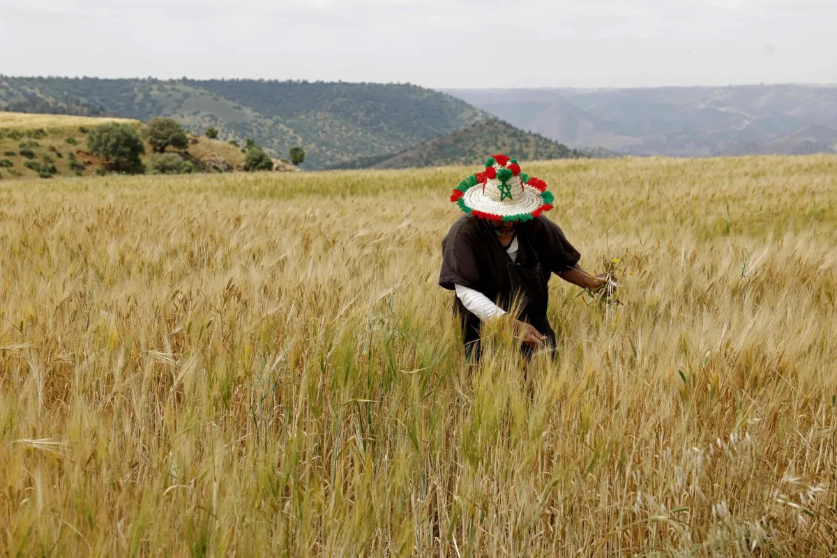 Moroccos Inflation Rate Rises to 1.7 in April Moroccos Inflation Rate Rises to 1.7 in April
